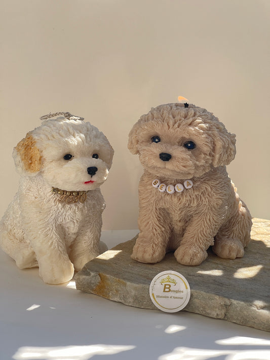 Bougie Bichon Grand et petit Personnalisée Cadeau Unique