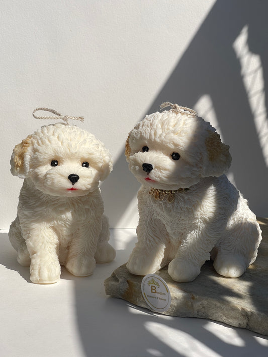 Bougie Bichon Grand et petit Personnalisée Cadeau Unique