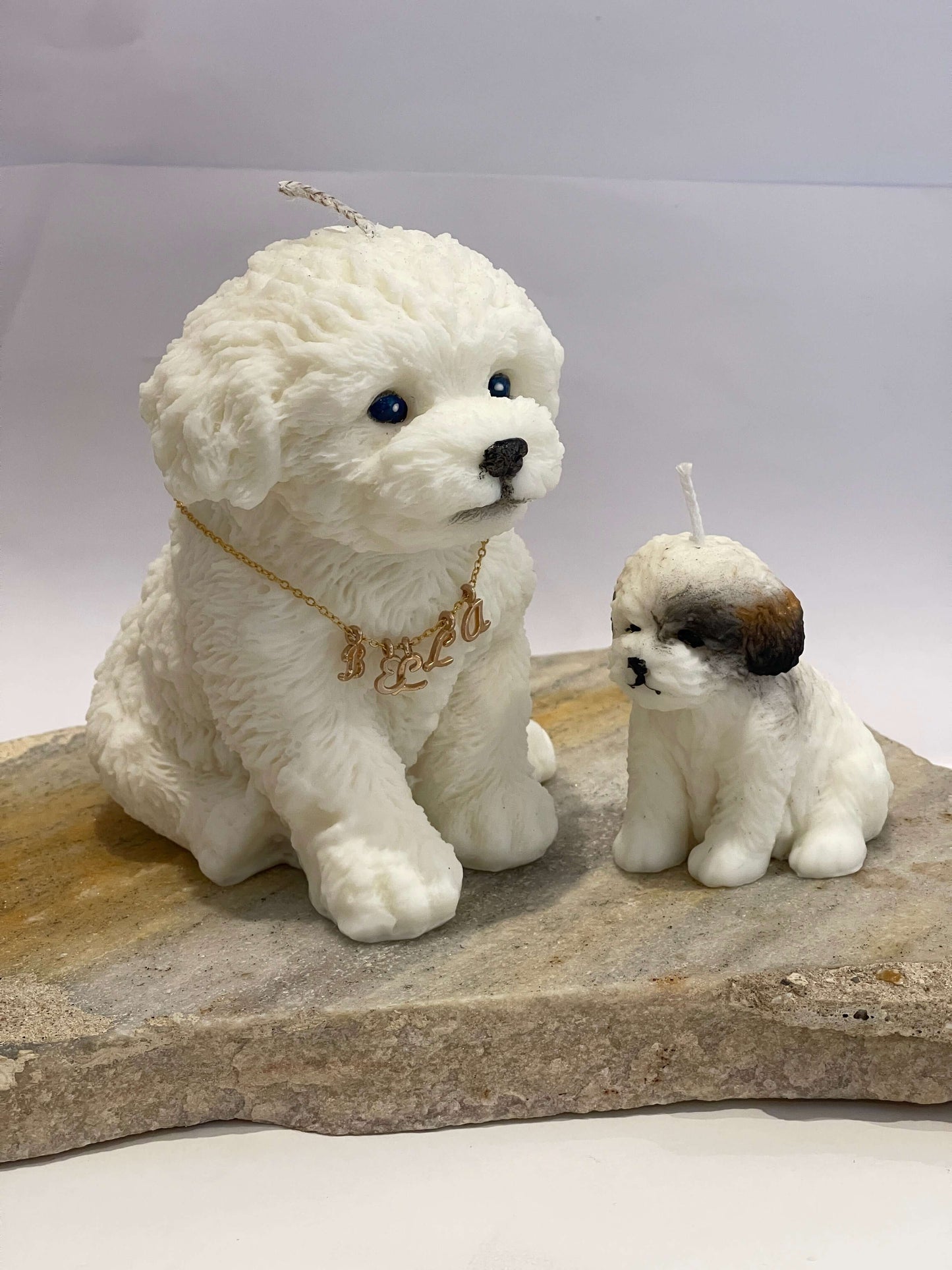 Bougie Bichon Grand et petit Personnalisée Cadeau Unique