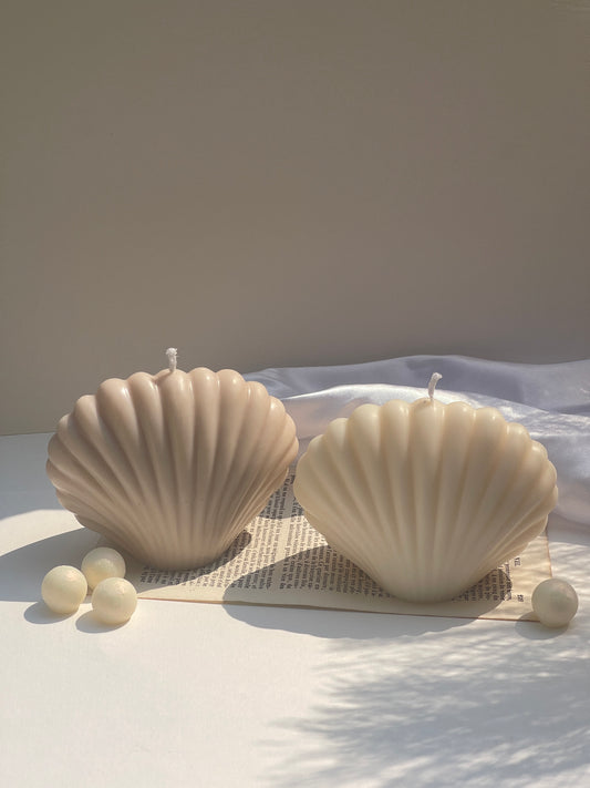 Coquillage de Lumière