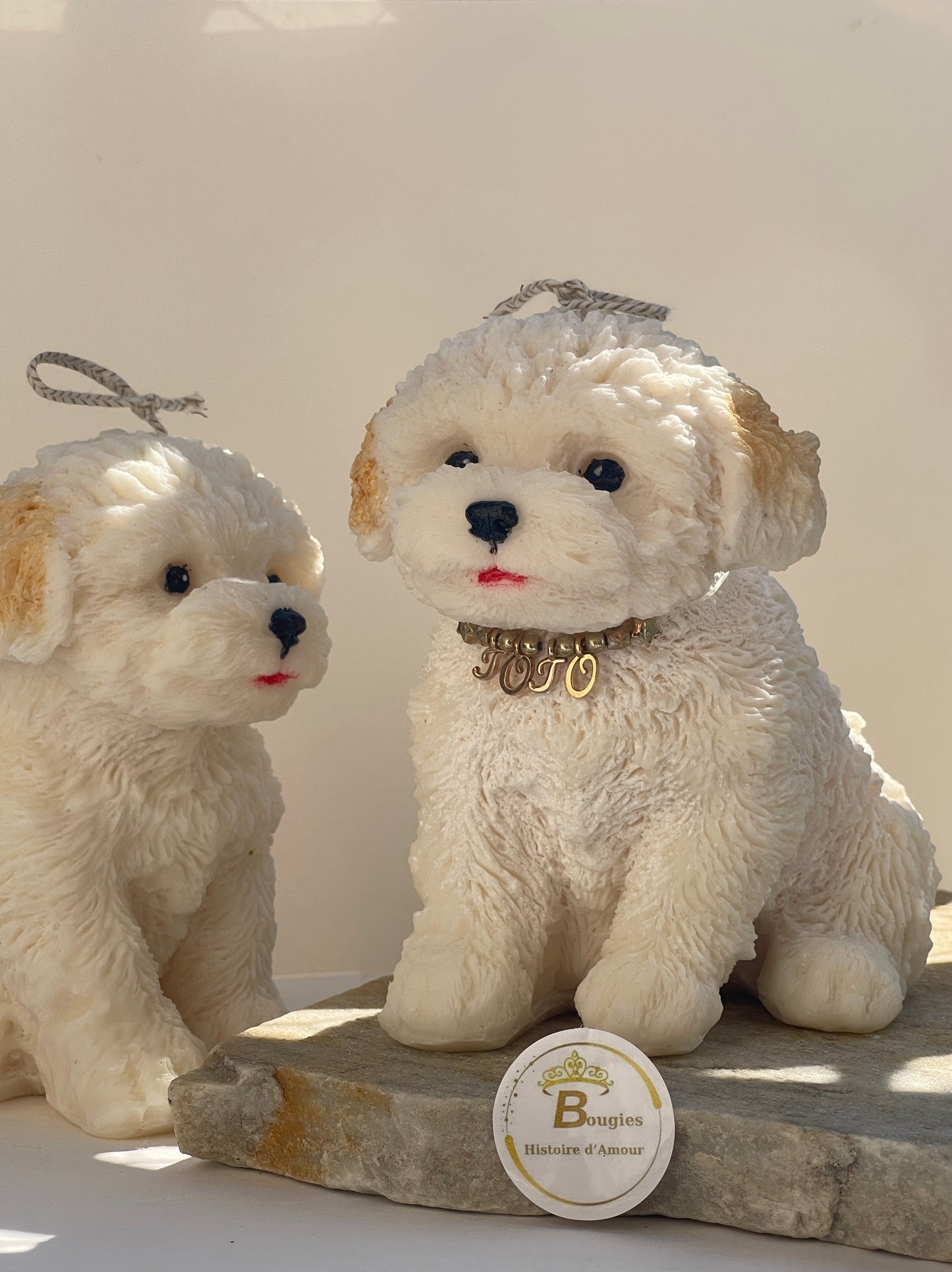 Bougie Bichon Grand et petit Personnalisée Cadeau Unique