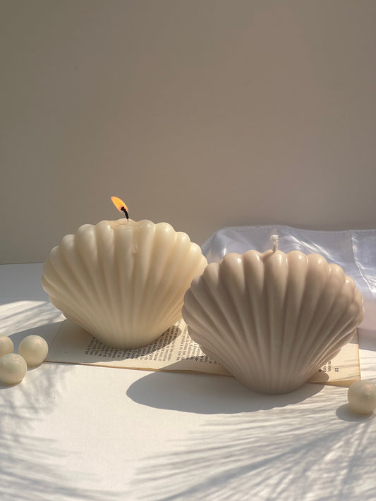 Coquillage de Lumière